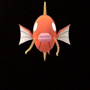 Meet your Posher, Jake